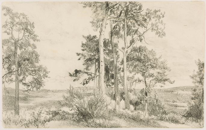 Adolph MENZEL - Landscape with a Grove of Trees, Brandenburg | MasterArt